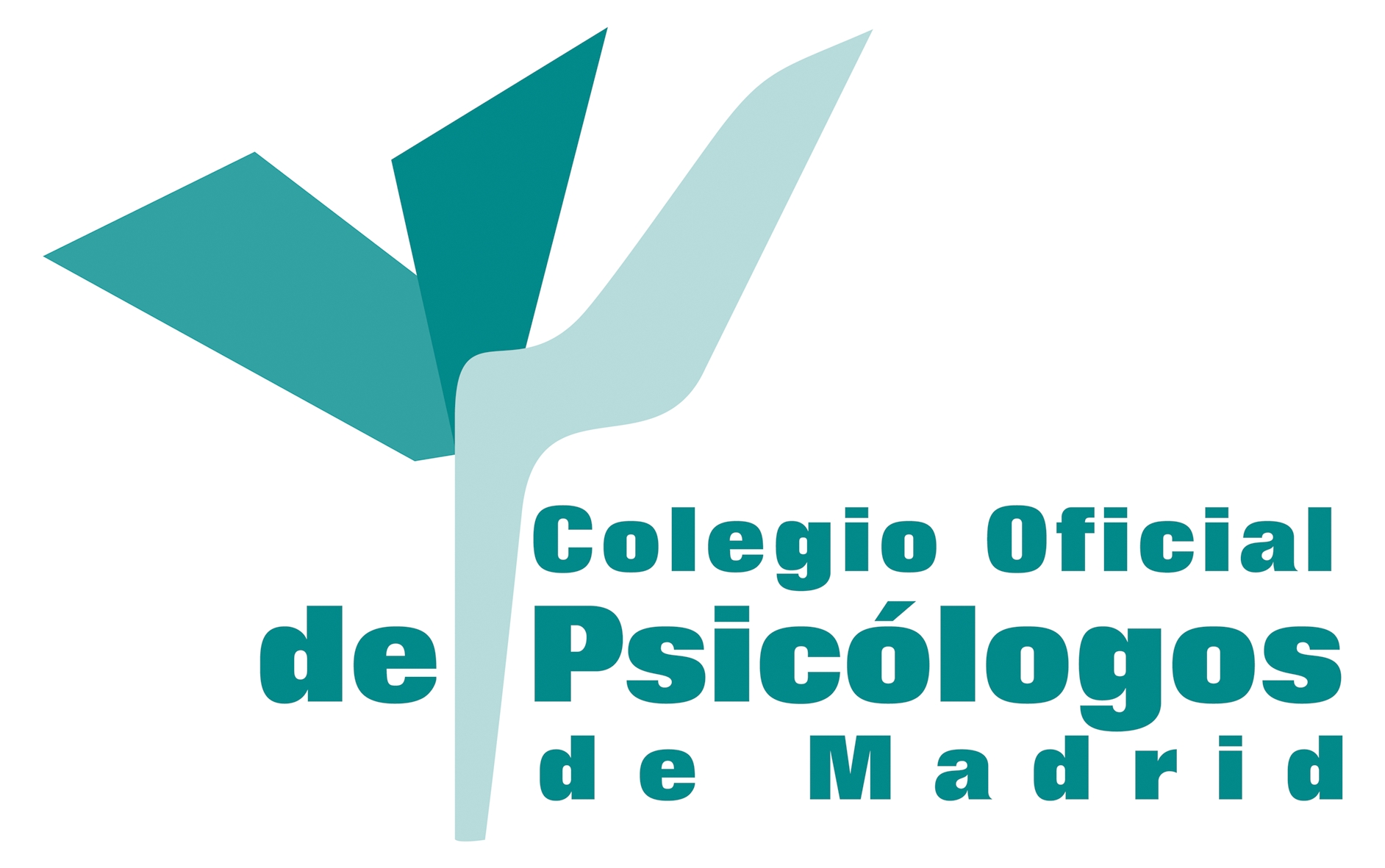 Mi actividad en el Colegio Oficial de Psicólogos y las principales colaboraciones realizadas (1980-2004)